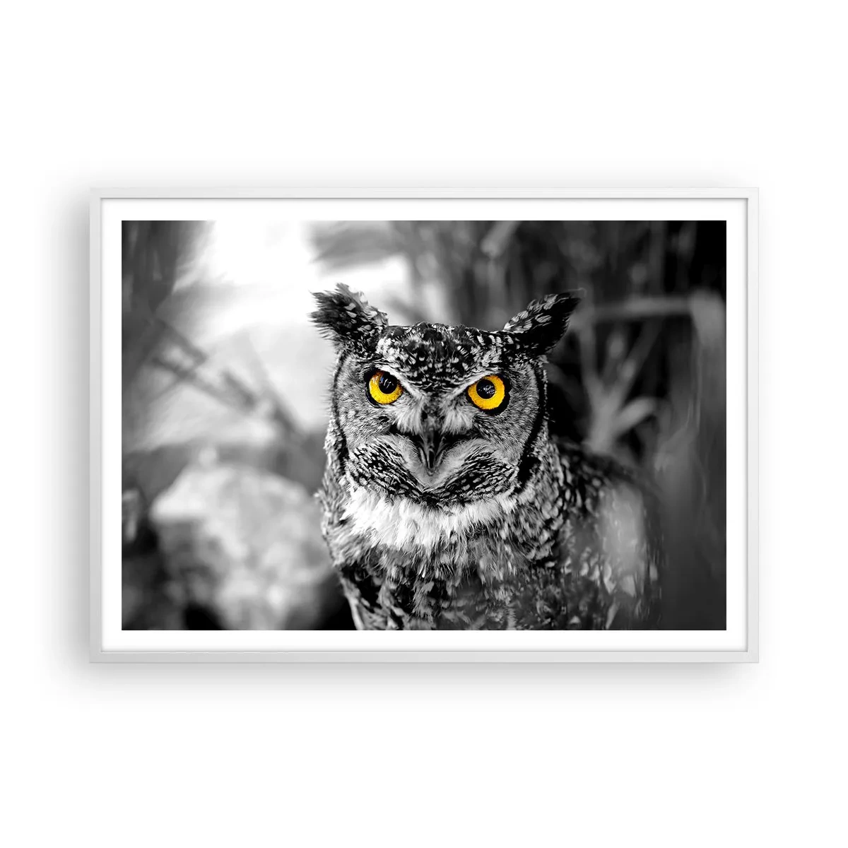 Plagát v bielom ráme - Nič sa neschová - 100x70 cm