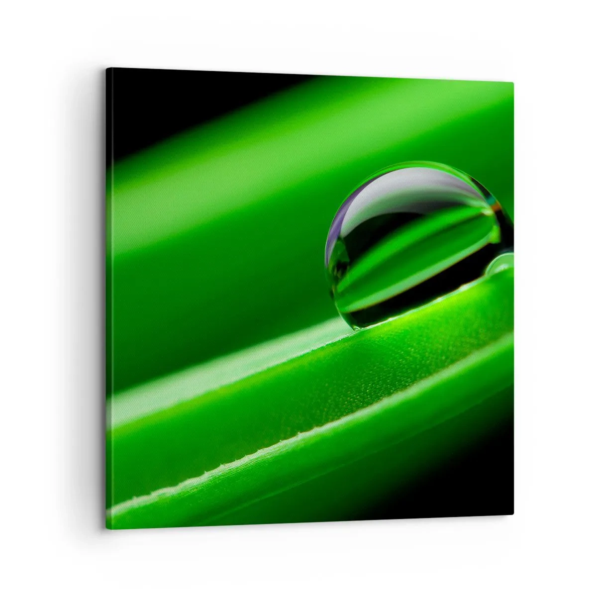 Obraz na plátne - Život zblízka - 60x60 cm
