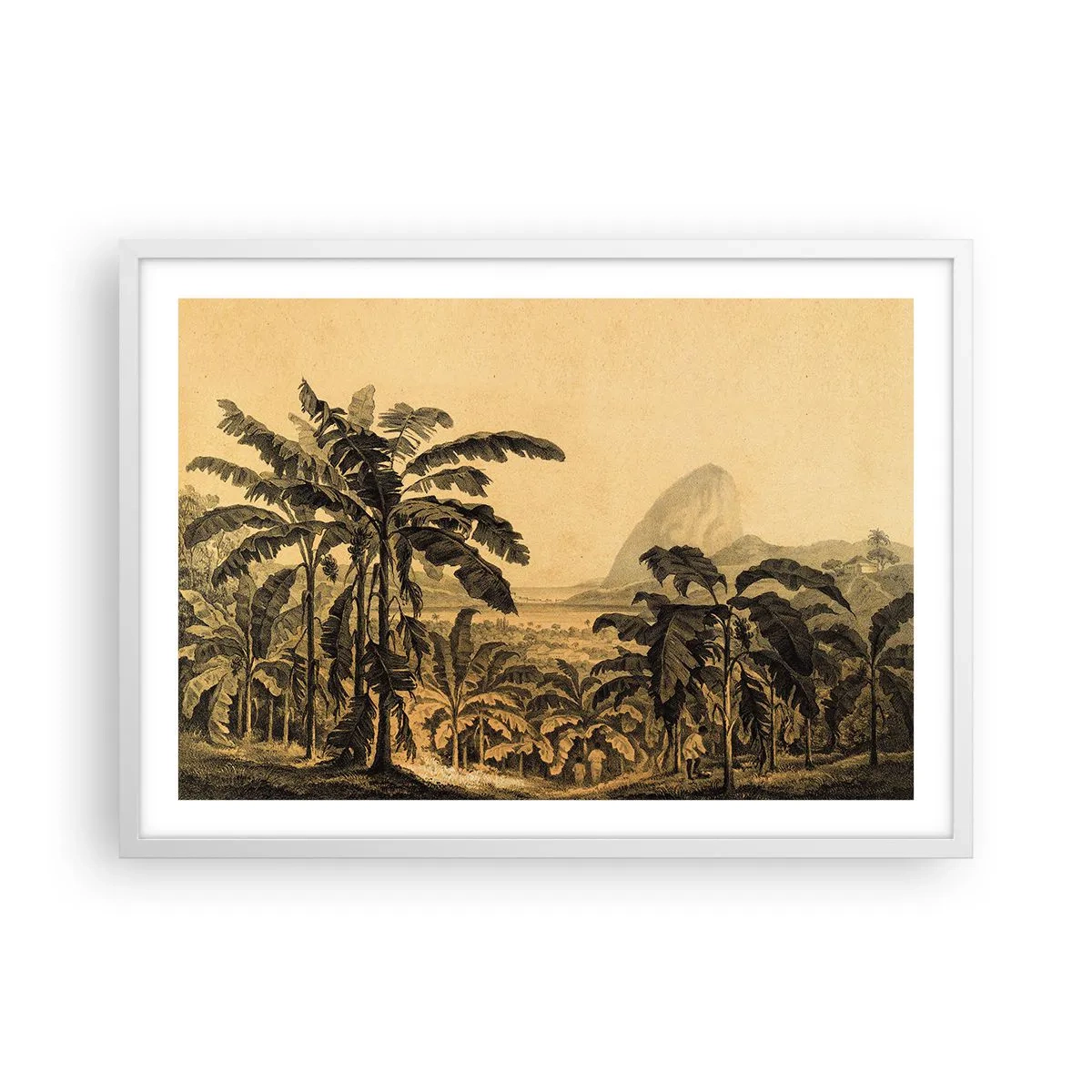 Plagát v bielom ráme - V koloniálnom štýle - 70x50 cm