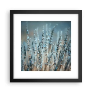 Plagát v čiernom ráme - Voňavý lán - 30x30 cm
