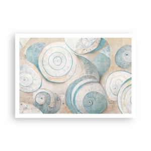 Plagát - Čo skrýva mušľa? - 100x70 cm