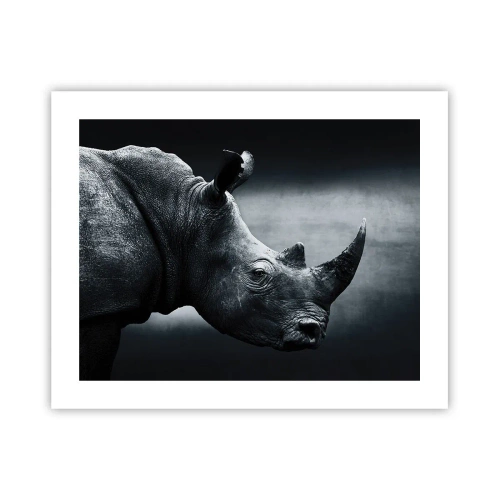 Plagát - Pravý profil - 50x40 cm