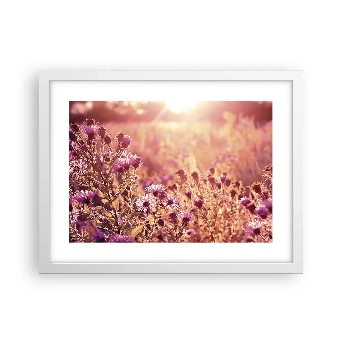 Plagát v bielom ráme - Než skončí leto - 40x30 cm