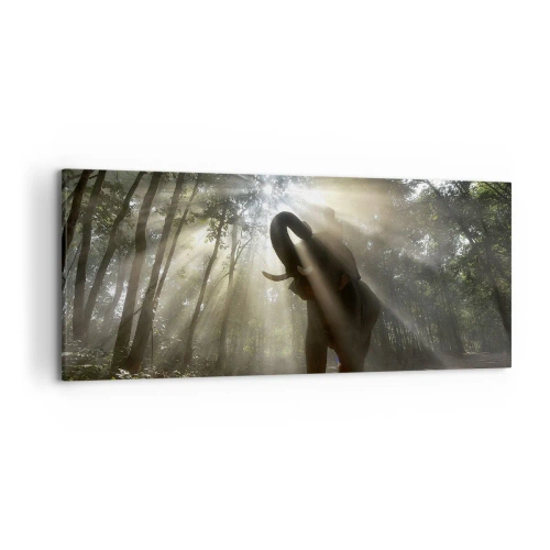 Obraz na plátne - Pod šťastnou hviezdou - 120x50 cm
