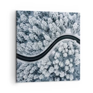 Obraz na plátne - Zimným lesom - 60x60 cm