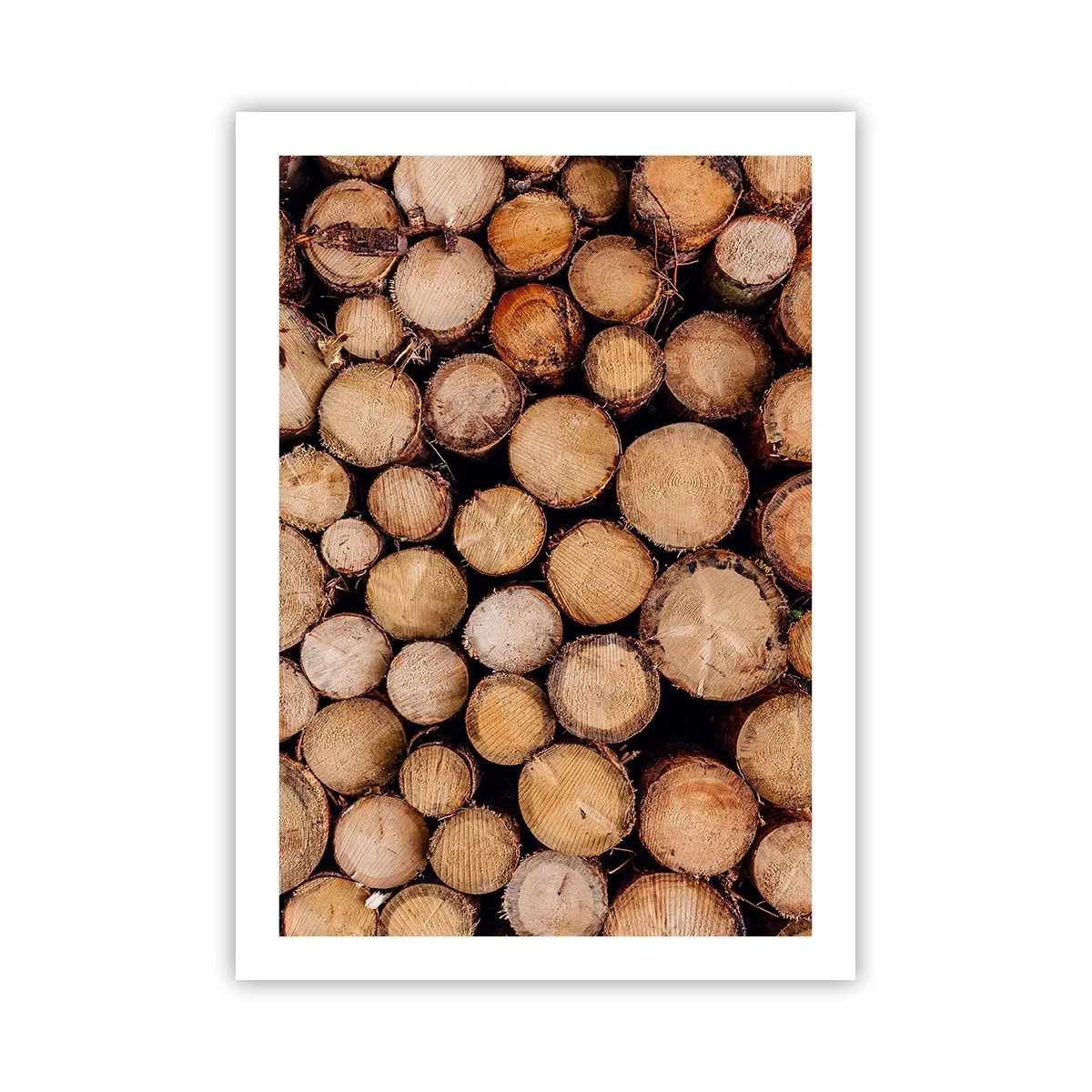 Plagát - Nový začiatok - 50x70 cm