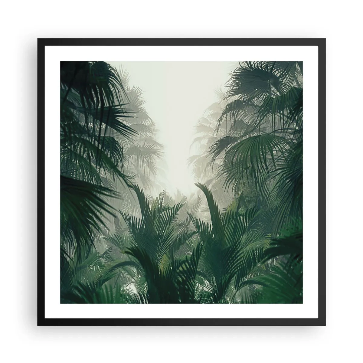 Plagát v čiernom ráme - Tropická záhada - 60x60 cm
