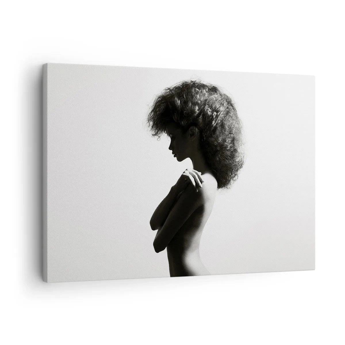 Obraz na plátne - Jemná silueta ženy v čiernobielych odtieňoch na svetlom pozadí - 70x50cm - Ako kvetina na štíhlej stonke - Moderná nástenná dekorácia do obývacej izby a spálne ARTTOR