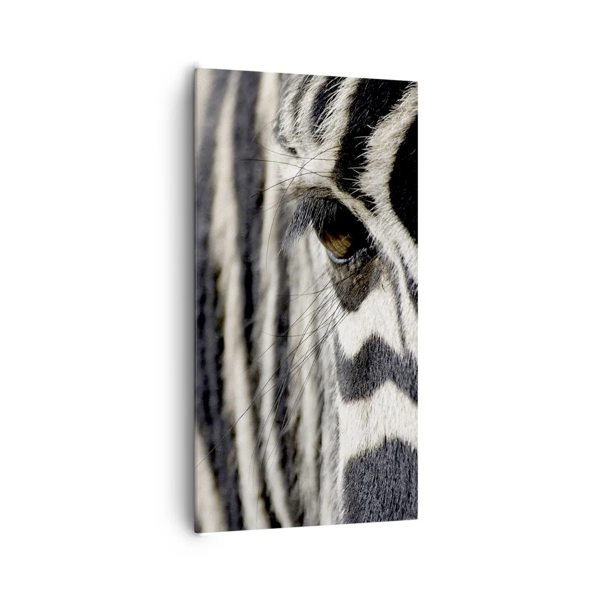 Obraz na plátne - Portrét s pruhmi - 65x120 cm