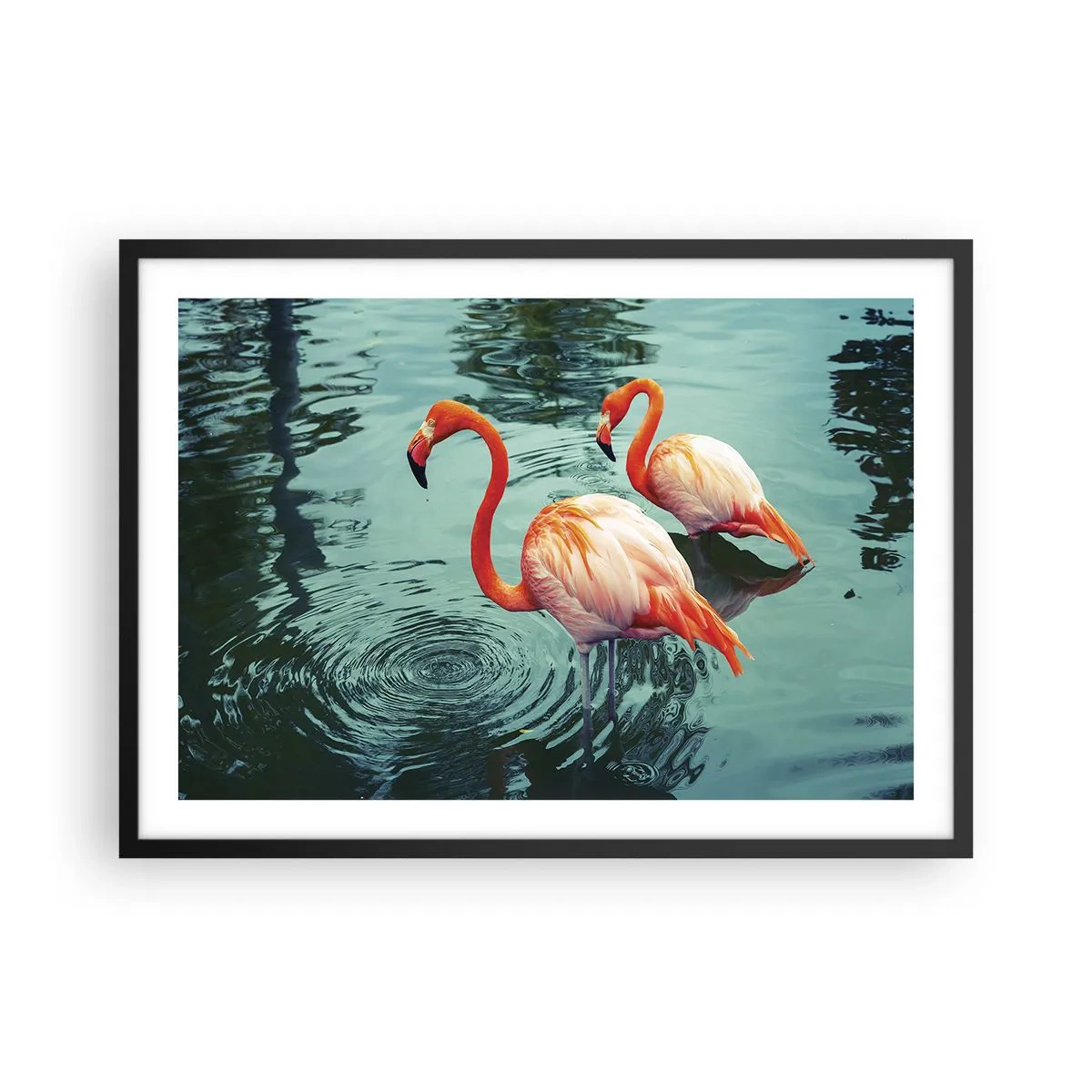 Plagát v čiernom ráme - Teraz sme v móde - 70x50 cm