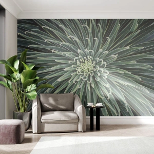 Fototapeta Premium Sand - Zrodenie hviezdy - Kvet agáve, Agáve, Kvety - 150x105 cm