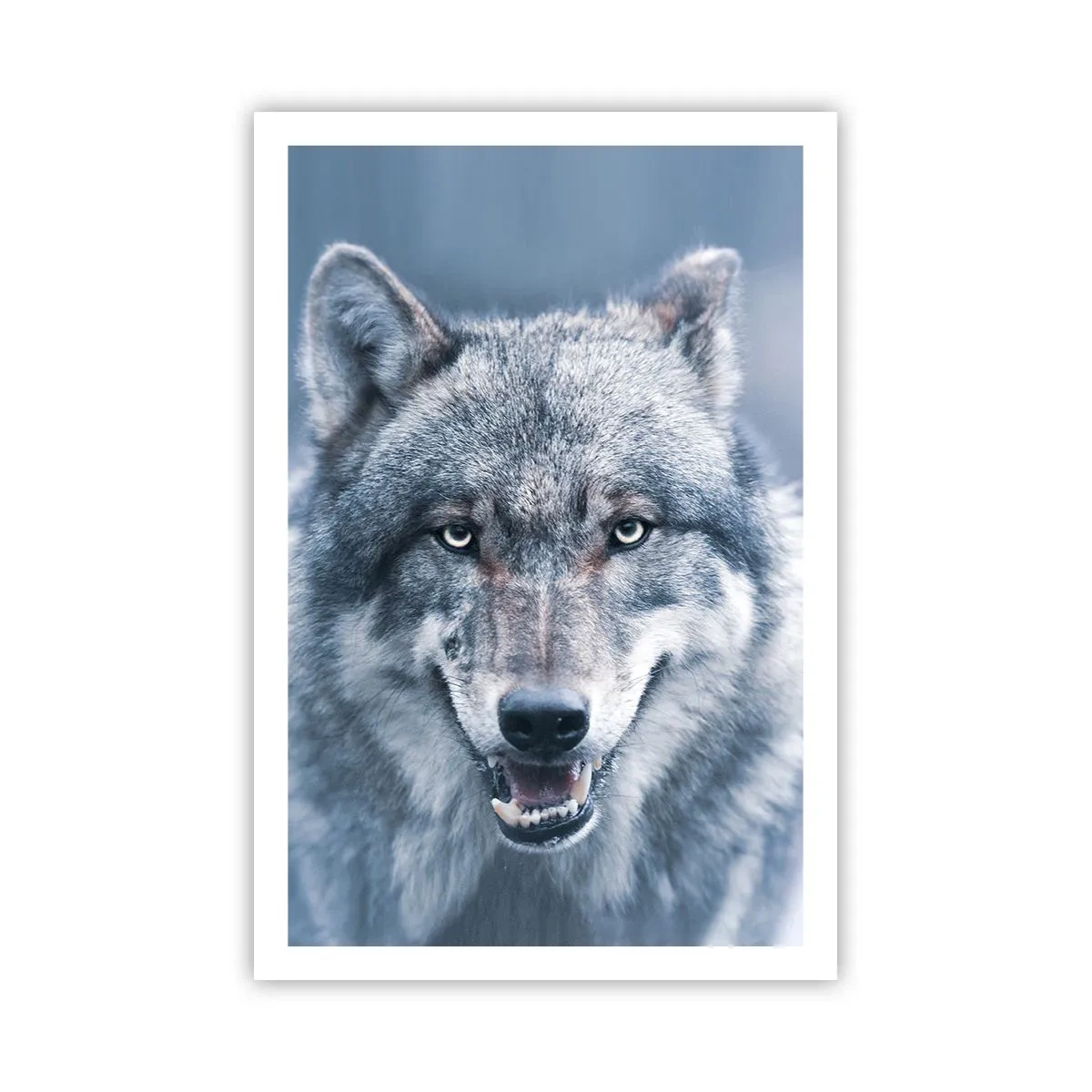 Plagát - Prijmete túto výzvu? - 61x91 cm