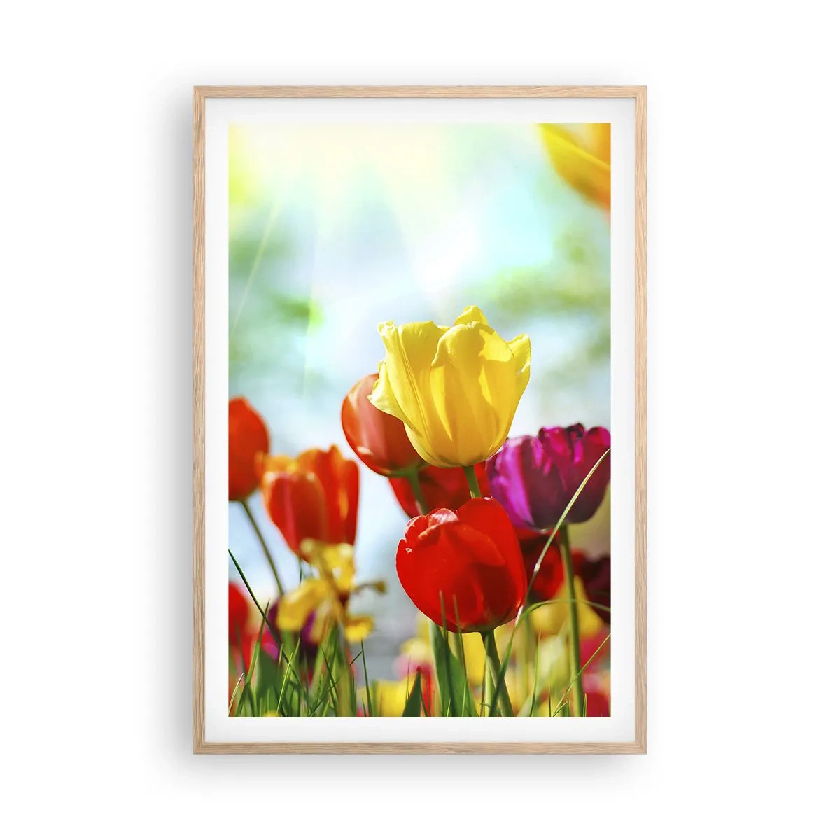 Plagát v ráme zo svetlého duba - Všetky farby slnka - 61x91 cm
