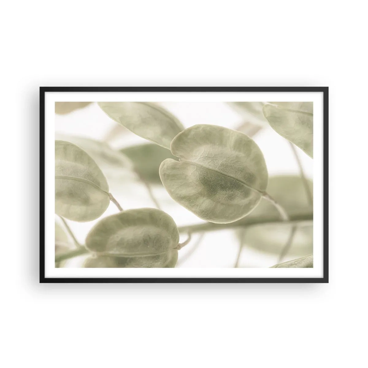 Plagát v čiernom ráme - Na začiatku bolo lístie… - 91x61 cm