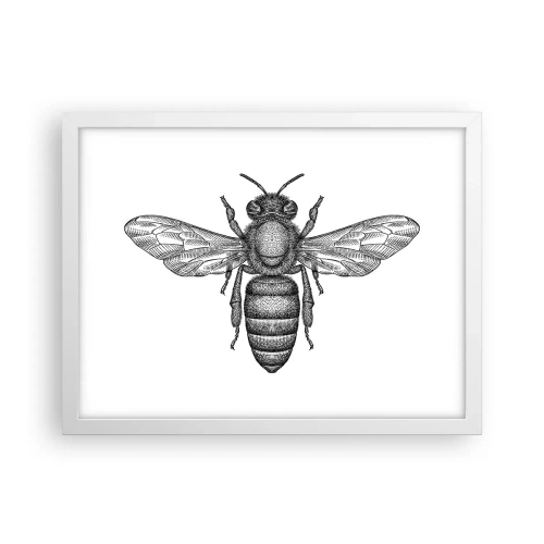 Plagát v bielom ráme - Hmyzí portrét - 40x30 cm