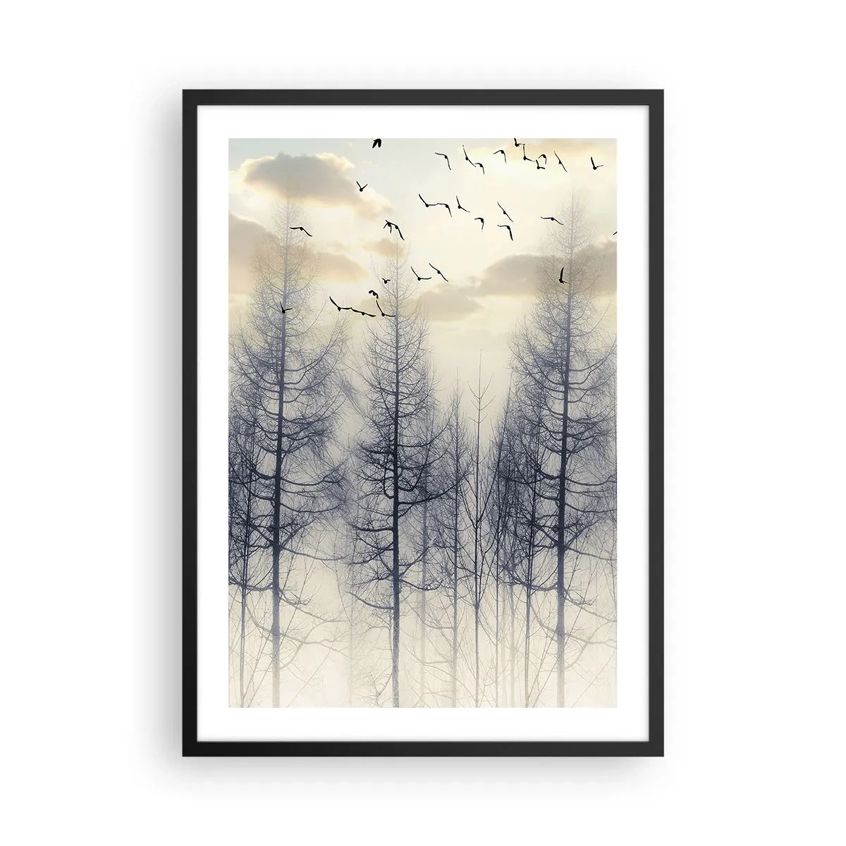 Plagát v čiernom ráme - Hmlistý les s vysokými stromami a lietajúcimi vtákmi ráno - 50x70cm - Duchovia lesa - Moderná nástenná dekorácia do obývacej izby a spálne ARTTOR