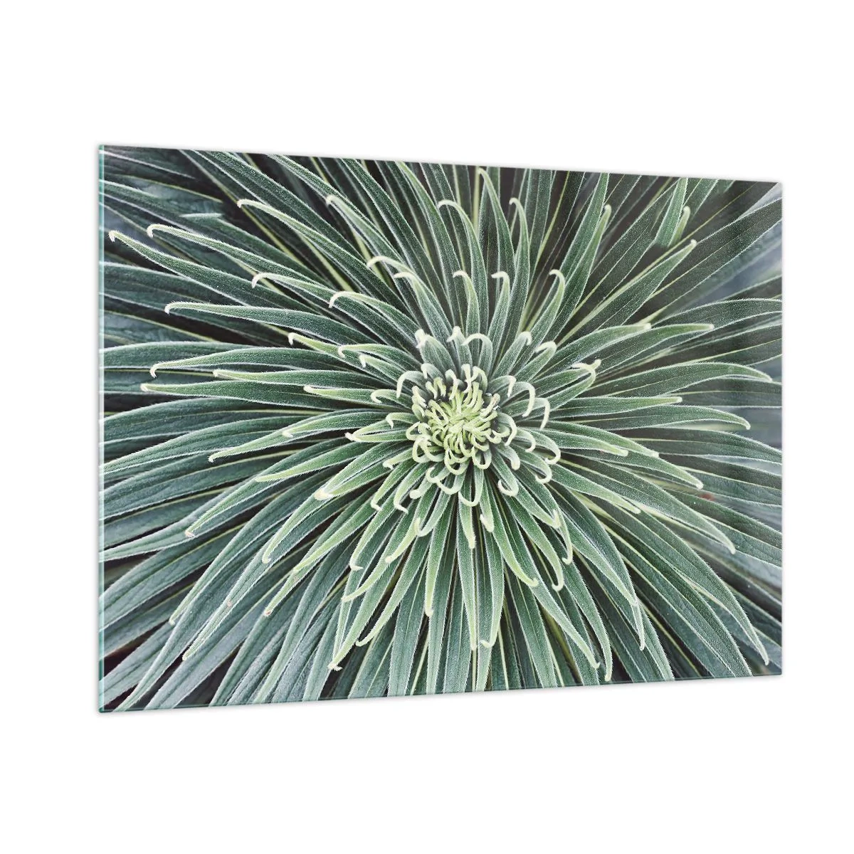 Obraz na skle - Zrodenie hviezdy - 100x70 cm