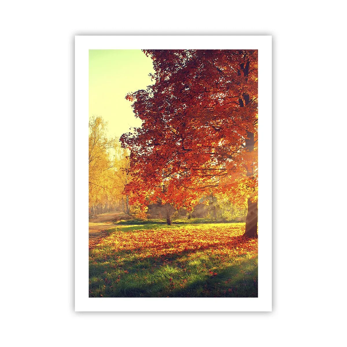 Plagát - Červené je krásne - 50x70 cm
