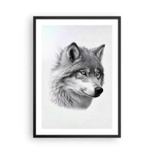 Plagát v čiernom ráme - Realistický portrét vlka v odtieňoch sivej. - 50x70cm - Alfa – bezpochyby - Moderná nástenná dekorácia do obývacej izby a spálne ARTTOR