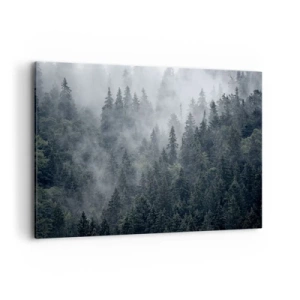 Obraz na plátne - Lesné svitania - 100x70 cm