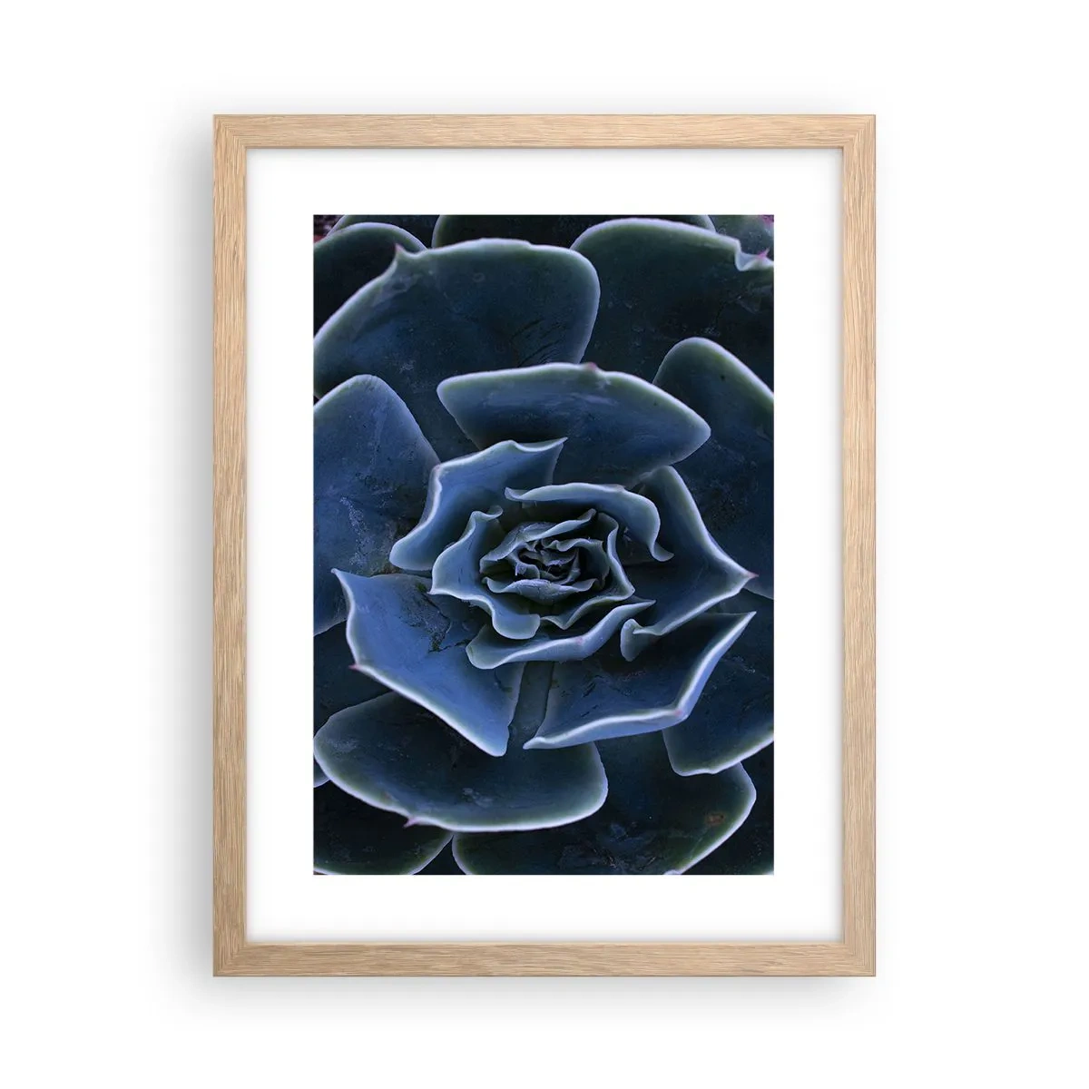 Plagát v ráme zo svetlého duba - Púštny kvet - 30x40 cm