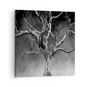 Obraz na plátne - Pôvodné a sväté - 60x60 cm