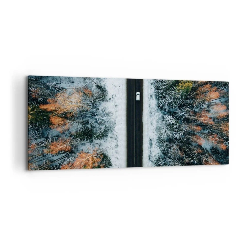Obraz na plátne - Cez zimný les - 120x50 cm