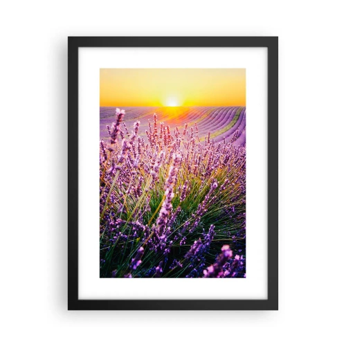 Plagát v čiernom ráme - Voňavý lán - 30x40 cm