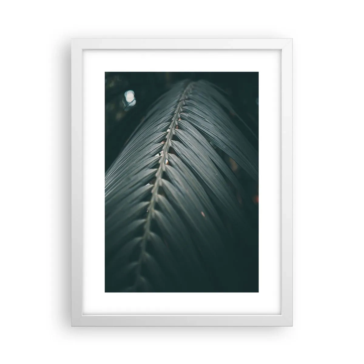 Plagát v bielom ráme - Presnosť prírody - 30x40 cm