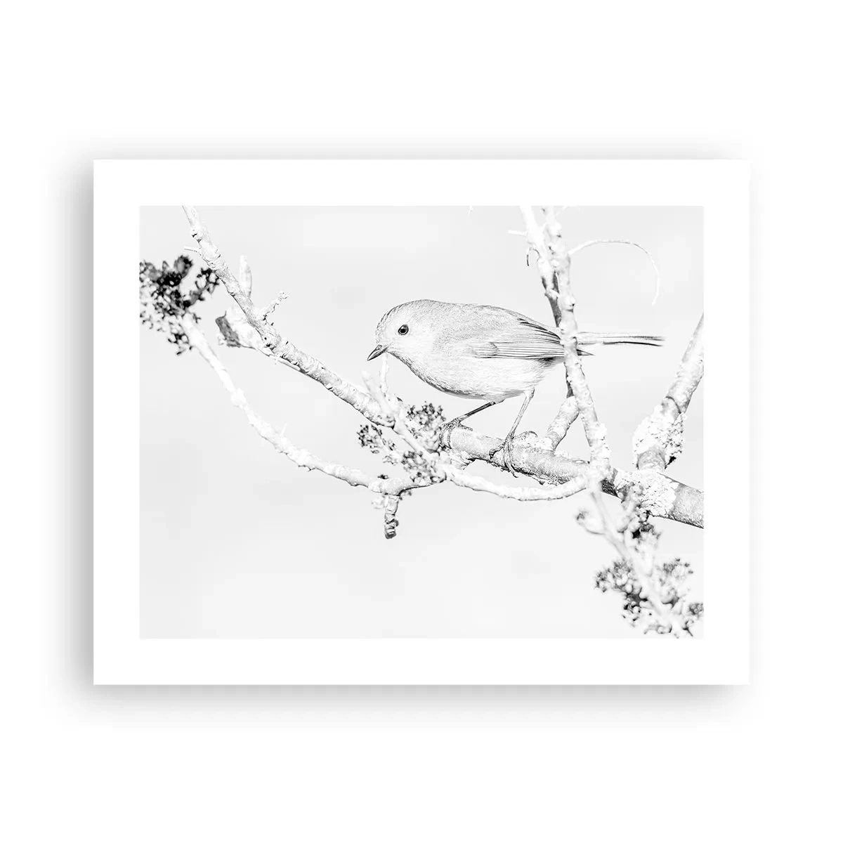 Plagát - Zimné ráno - 50x40 cm