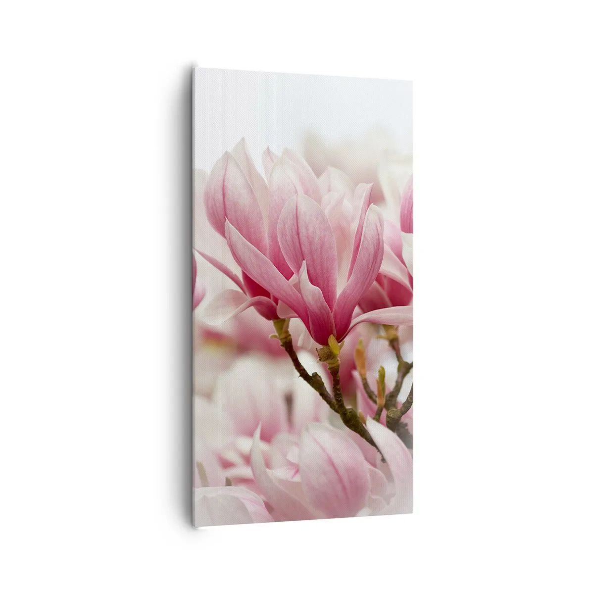 Obraz na plátne - Jarné kvety - 65x120 cm