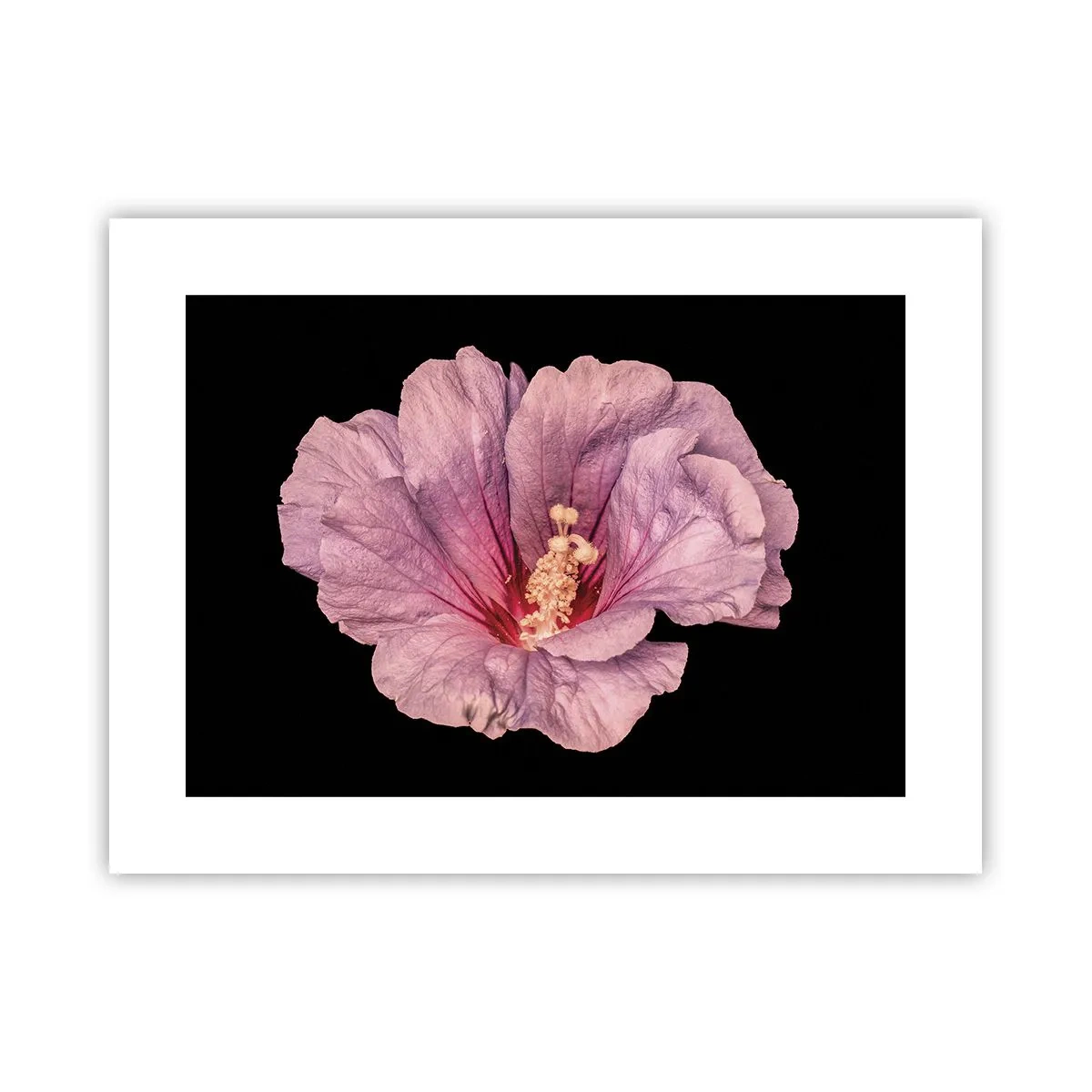 Plagát - Priamo do srdca - 40x30 cm