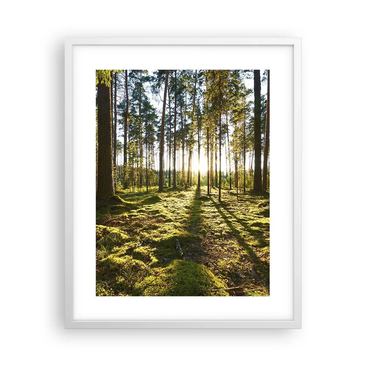 Plagát v bielom ráme - …Za siedmimi lesmi - 40x50 cm