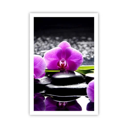 Plagát - Utopiť v tichu a pokoji - 61x91 cm