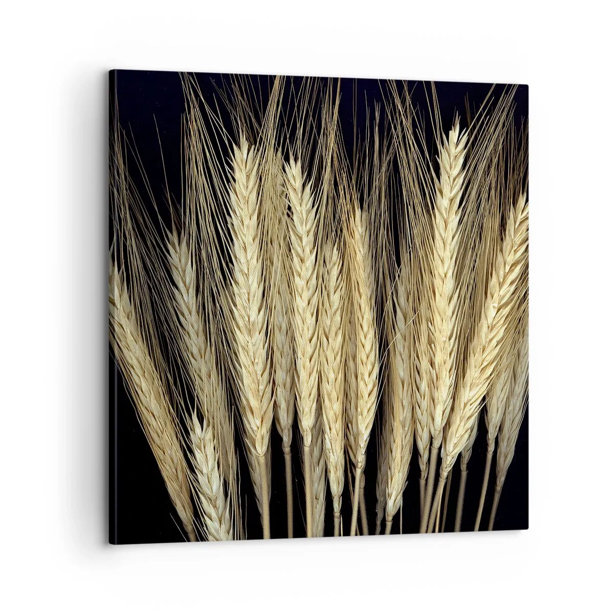 Obraz na plátne - Rustikálna mágia - 60x60 cm