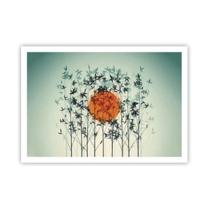 Plagát - Japonské slnko - 100x70 cm