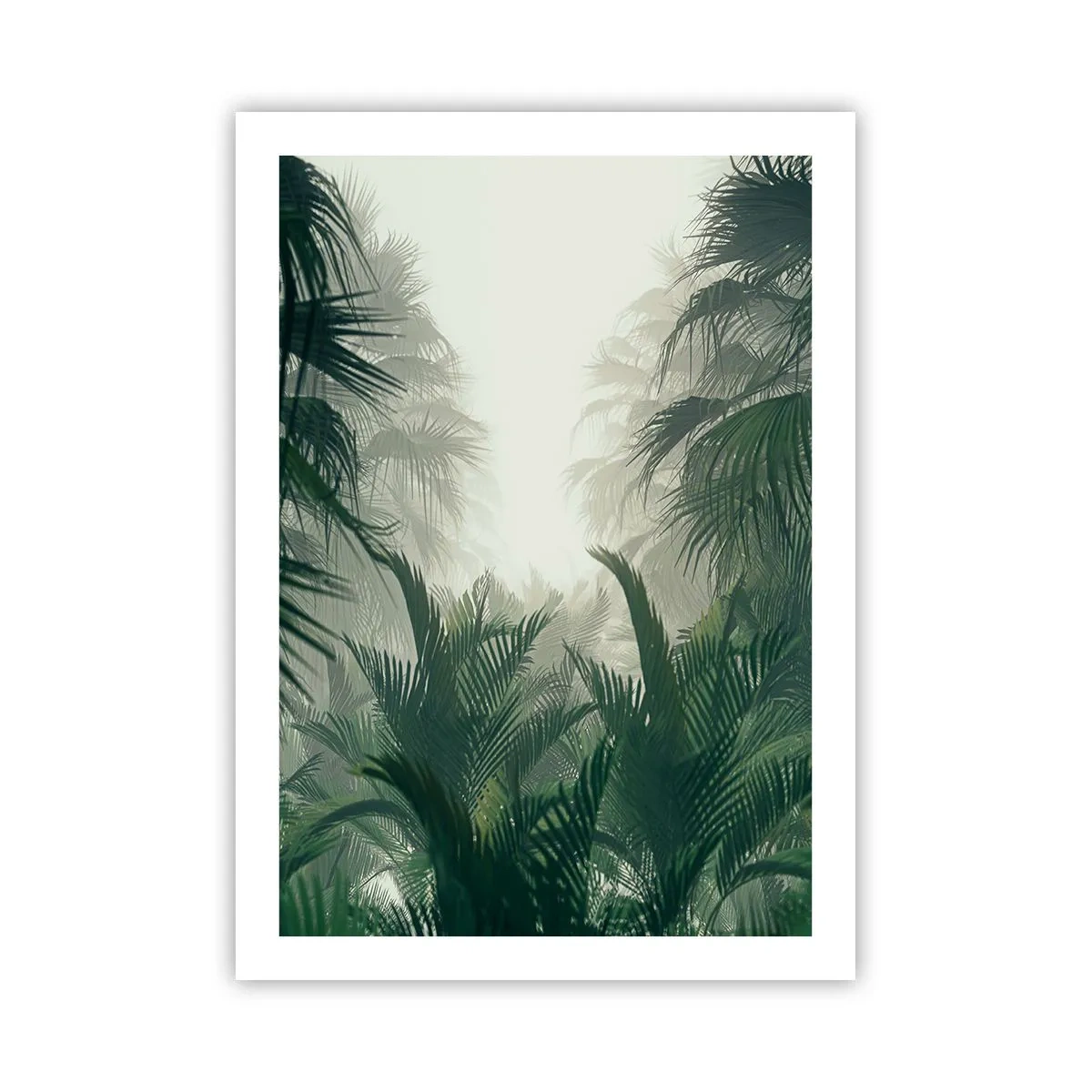 Plagát - Tropická záhada - 50x70 cm