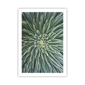 Plagát - Zrodenie hviezdy - 50x70 cm