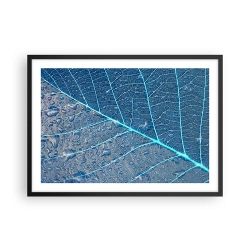Plagát v čiernom ráme - Modrý život - 70x50 cm