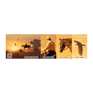 Vzorka Fototapeta Standard Eco - Sám cez prériu - Kôň, Kovboj, Krajina - 100x30 cm