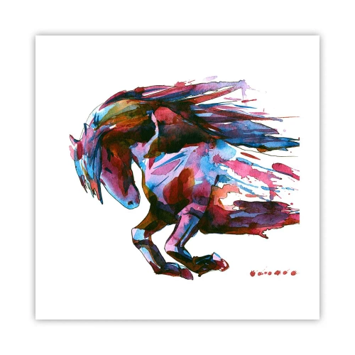 Plagát - Nadšenie - 50x50 cm