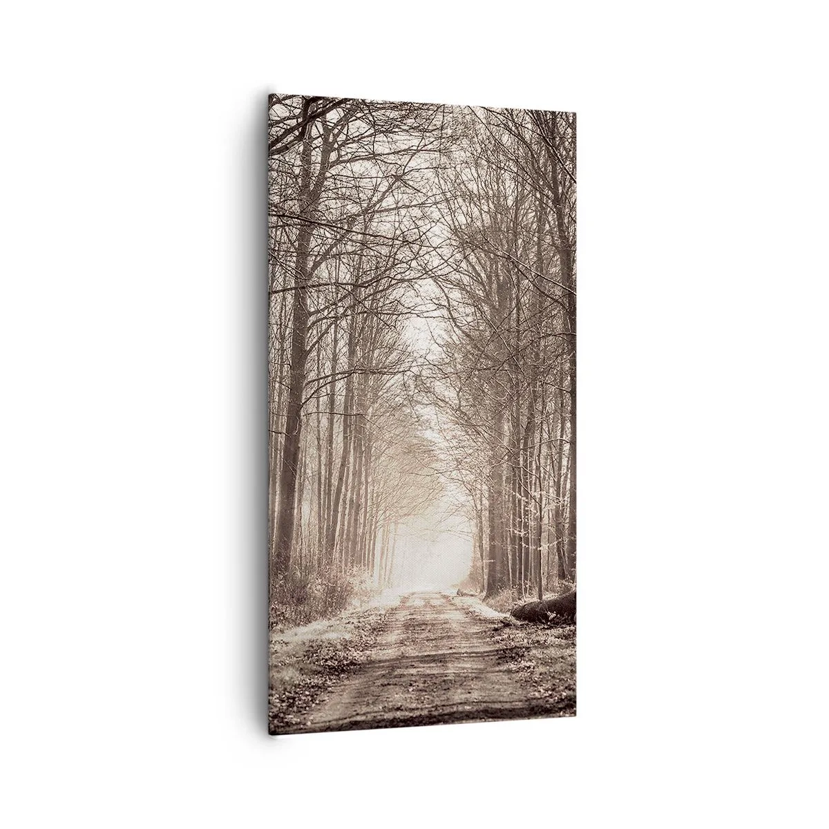 Obraz na plátne - Lesná katedrála - 65x120 cm