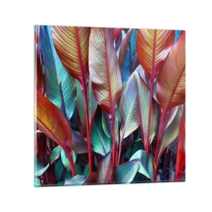 Obraz na skle - Farebná húština - 70x70 cm