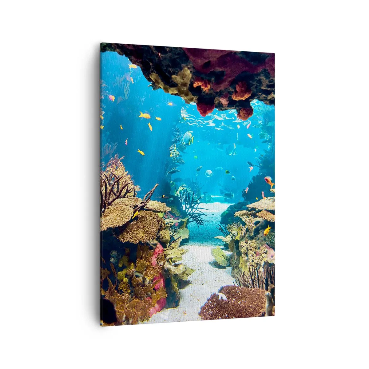 Obraz na plátne - Ani vo sne ťa to nenapadlo - 70x100 cm