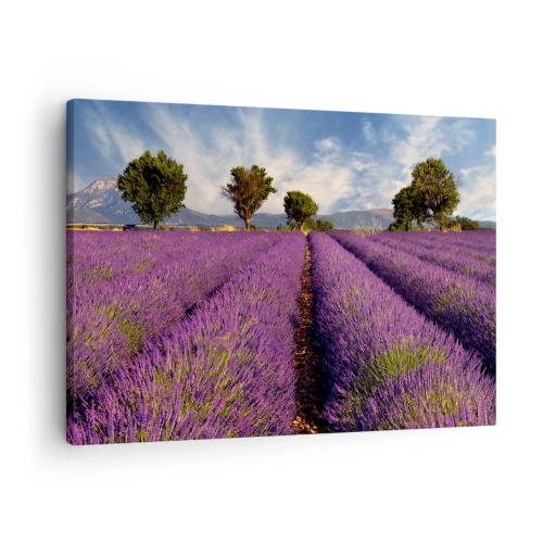 Obraz na plátne - Levanduľové pole so stromami na pozadí hôr a oblohy - 70x50cm - Levanduľové polia - Moderná nástenná dekorácia do obývacej izby a spálne ARTTOR