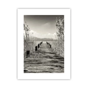 Plagát - V ústraní tráv - 30x40 cm