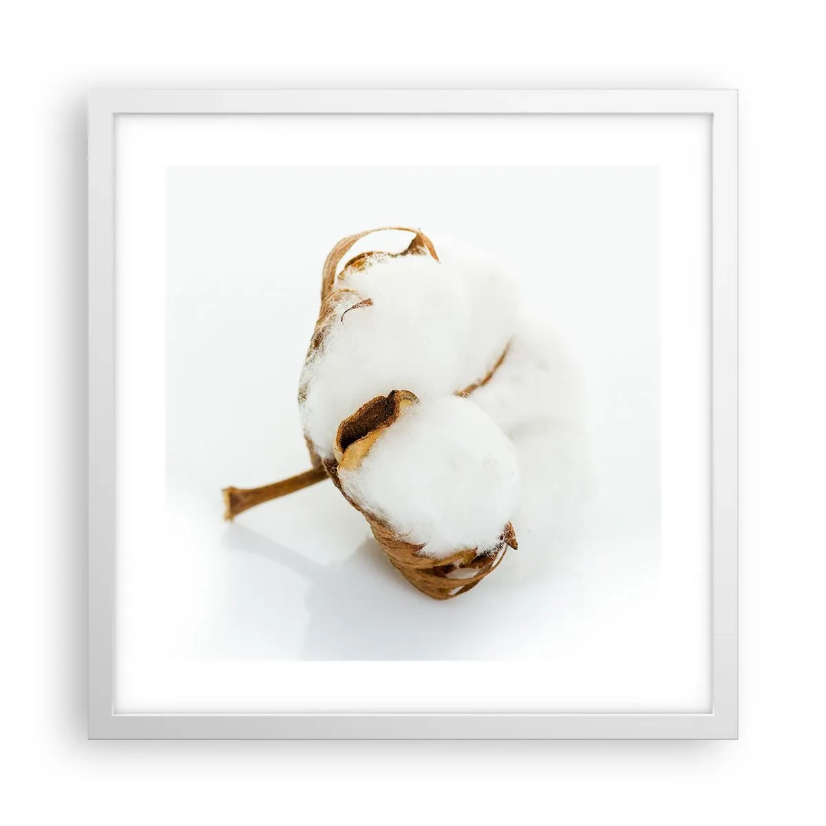 Plagát v bielom ráme - Mäkká od prírody - 40x40 cm