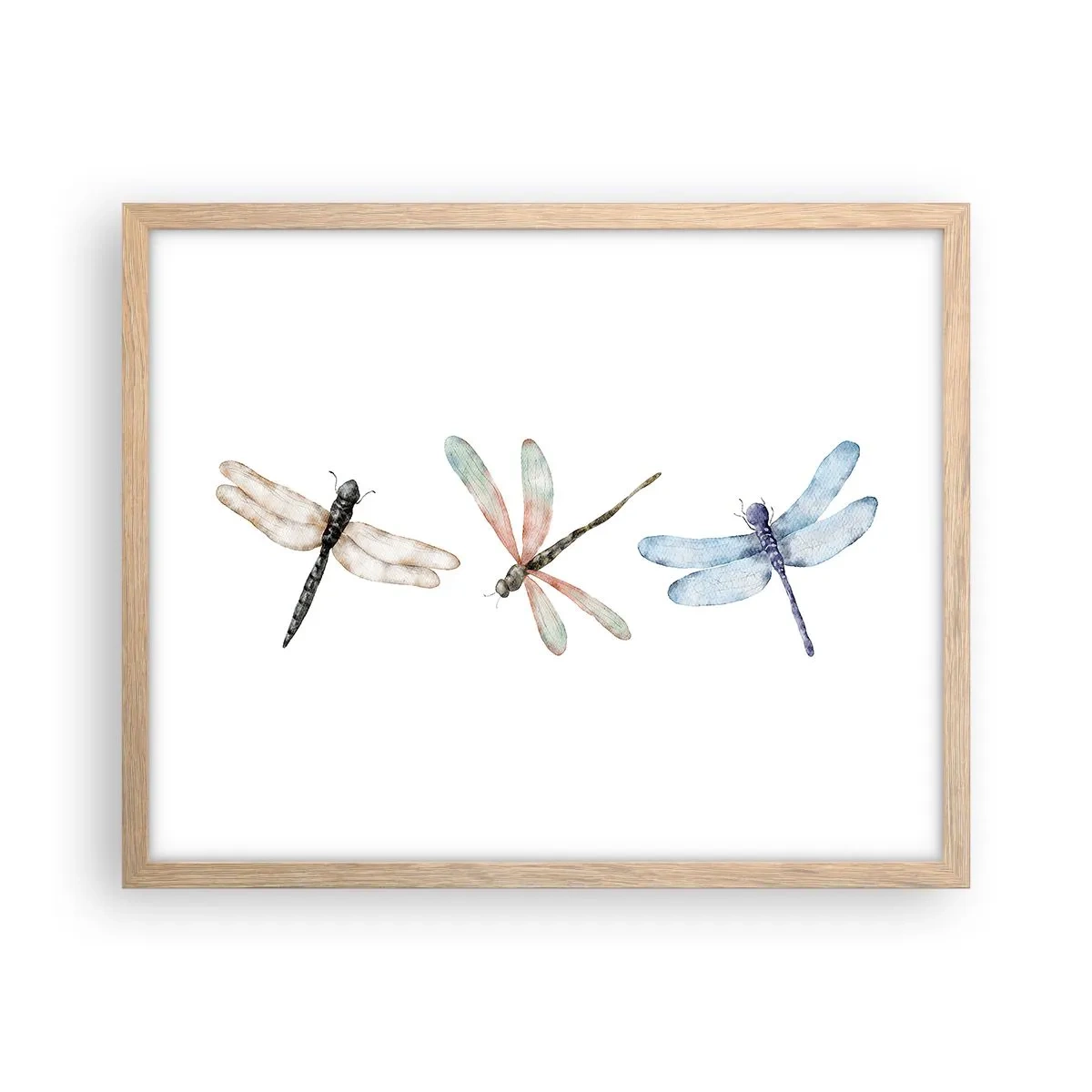 Plagát v ráme zo svetlého duba - Beztiažové vážky - 50x40 cm