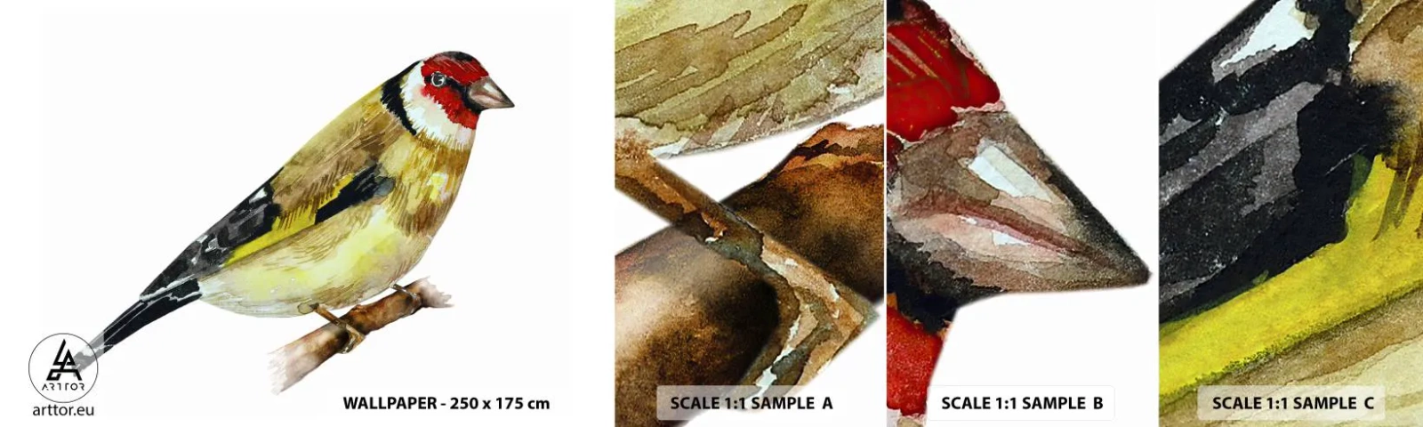 Vzorka samolepiacej fototapety Deluxe Sticker - Vtáčí portrét - stehlík, Vták, Kus - 100x30 cm