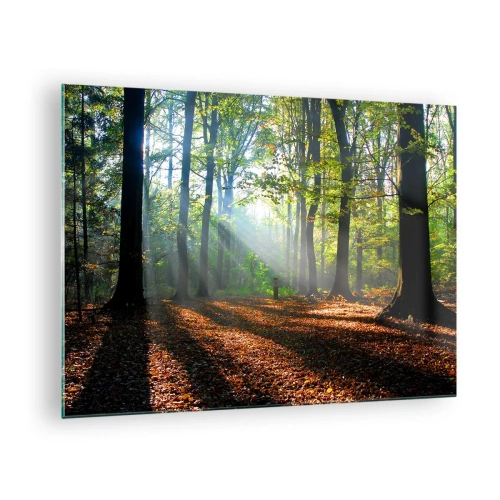 Obraz na skle - Les v lúčoch slnka v jesennej scenérii - 70x50cm - Svetlá a tiene - Moderná nástenná dekorácia do obývacej izby a spálne ARTTOR